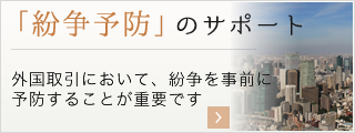 「紛争予防」のサポート